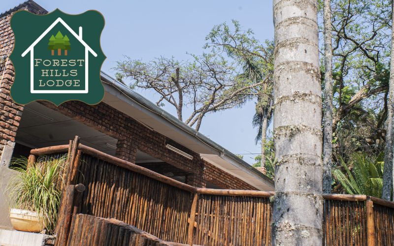 Escape to fully Forest Hills Lodge in Makhado’s Hidden Paradise